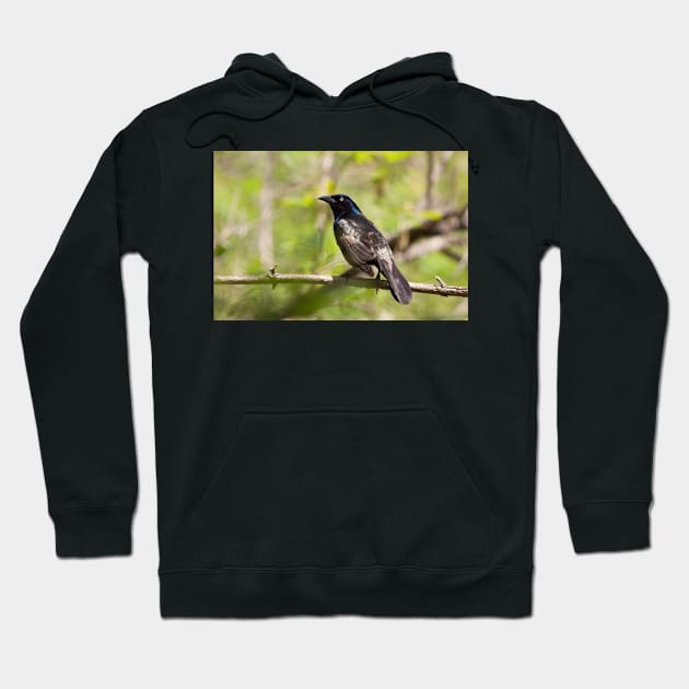 Tun Tun Season Hoodie by EugeJ